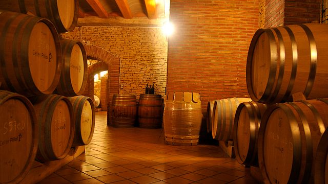 Cata y visita de vinos en Celler Piñol