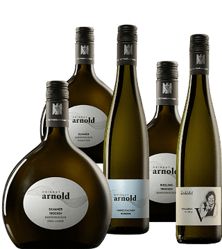 Vinprovning och rundtur på Weingut Arnold