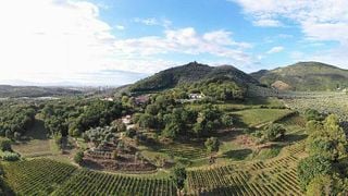 Azienda Agricola Montevetrano