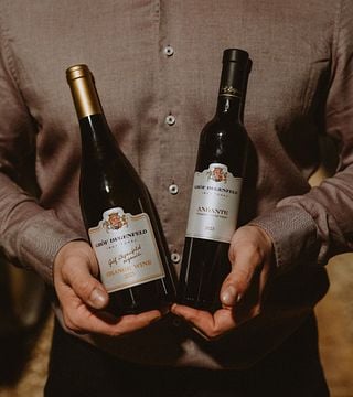 Degustação de vinhos na vinícola Grof Degenfeld - Pacote I. ESTATE