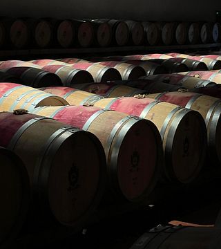 Full day Classified Growth Medoc and Saint Emilion Tour