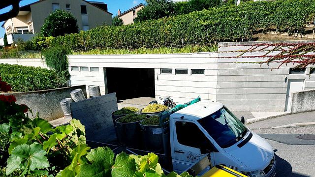 Domaine Dizerens