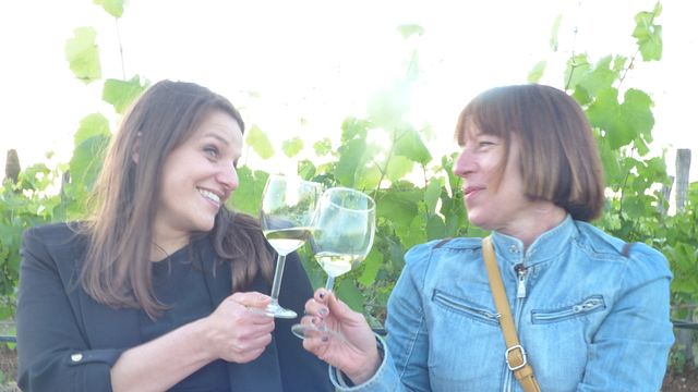 Cata de vinos premium entre hileras de viñedos | Cantina Costantini