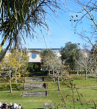 Westbrook Winery: A Taste of Auckland's Heritage