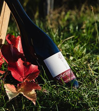 Dégustation de vins au Weingut Sommerhalter