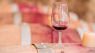 Cata de vinos y visita al Château Costes Cirgues