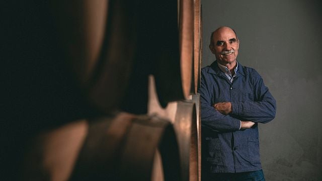 Besichtigung und Verkostung im Weingut Artur Steinmann Im Pastoriushaus