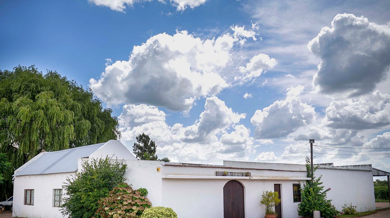 Bodega Marichal