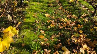 Domaine des Pierrettes