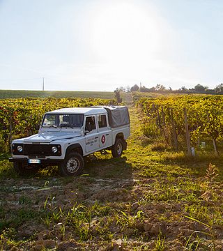 Introducción a los vinos de Garrone