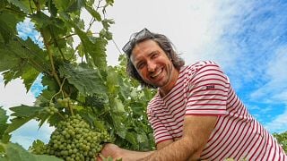 Cognac-Verkostung und Führung im Domaine Bourgoin Cognac
