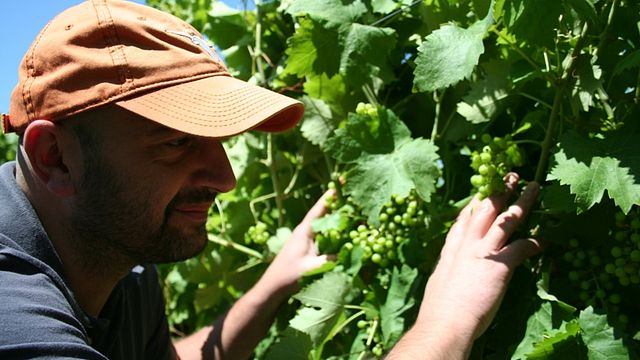 Benincasa Winery