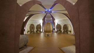 Weinprobe und Tour im Tenuta Mara