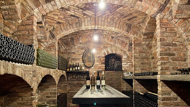 Degustazione di vini presso la cantina Herberstein
