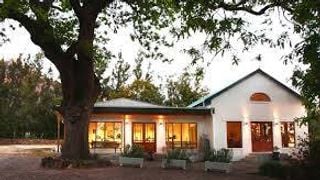 Mellasat Vineyards