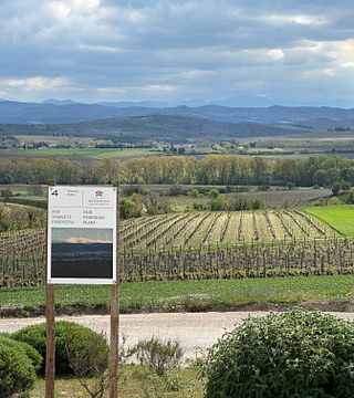 Domaine La Louvière: A Hidden Gem in Languedoc