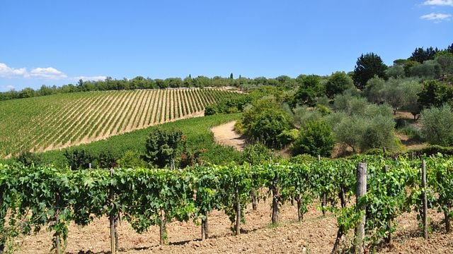 Poggio San Polo