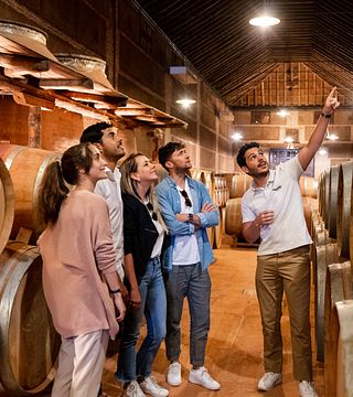 Recorrido por la ciudad de Toledo y visita a una bodega con cata de vinos desde Madrid