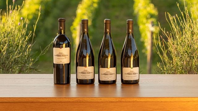 Degustação de vinhos premium e tour no Chateau Buera