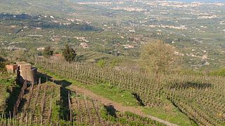 Sicily's Volcanic Vines: Etna Wine Tasting