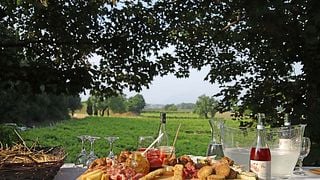 La Pesenata - Ferme Biodynamique et Dégustation de Vins Naturels dans le Vignoble