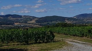 Domaine du Crêt de Bine