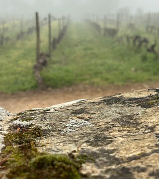 Quinta do Mouro