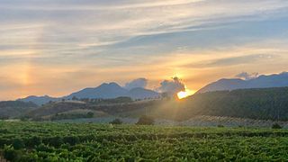 Calabria Wine & Countryside Escape at Tenute Pacelli