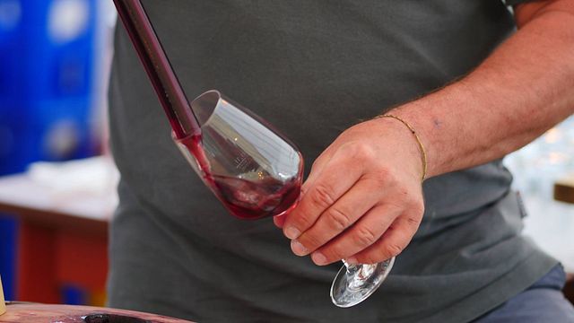 Dégustation de vins et visite de la manufacture de vins Mario Josef Burkhart