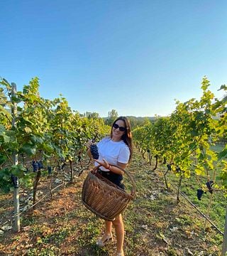 Hands in the Vines: Experience the Magic of Harvest at Purple Eye Estate