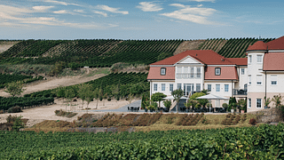 Neverland Vineyards