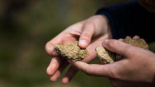 Descubriendo nuestros terruños