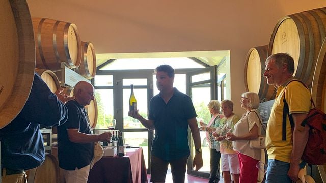 Weinprobe: Hinter den Kulissen unseres Weinguts iDivini