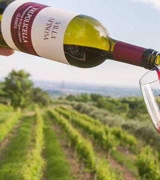 Degustação de vinhos e tour na Villa Spinosa