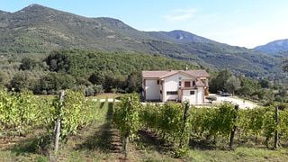 Intensiver Weinbergbesuch und Verkostung seltener autochthoner Weine