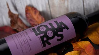 Quinta De Lourosa