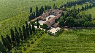 Experiencia en Valpolicella Squarano