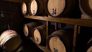 Amateurs de vin à la Cantina Le Macchie