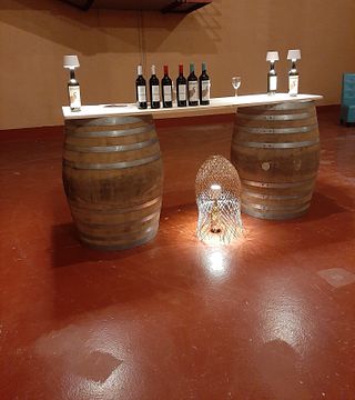 Visita à vinícola e degustação de vinhos na Hacienda Villarta