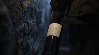 Degustação de vinhos e tour na Vina Alicia