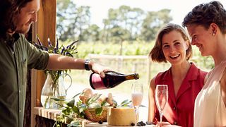 Cata de vinos y visita guiada en Quealy Winemakers