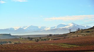 Bodegas Beronia