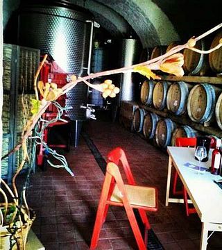 Degustación en la Gruta de Tufo