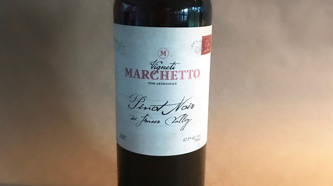 Dégustation de vins et visite à Marchetto
