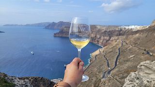 Private Wine Tour With Lunch