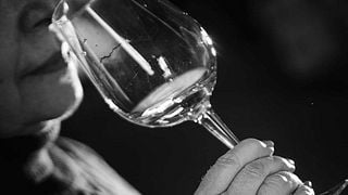 Degustação de vinhos populares e tour em Cellers Blanch