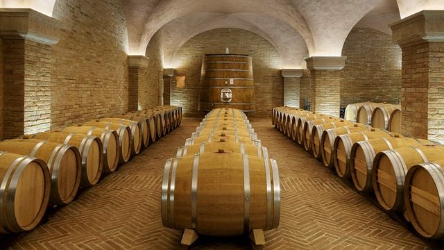 Tuscan Vineyard Tour & Natural Wine Tasting at Poggio del Moro