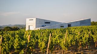 Visite du domaine et dégustation de 3 vins