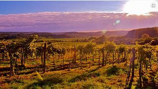 Degustazione di vini spumanti presso la terrazza SparkArt della cantina Kern