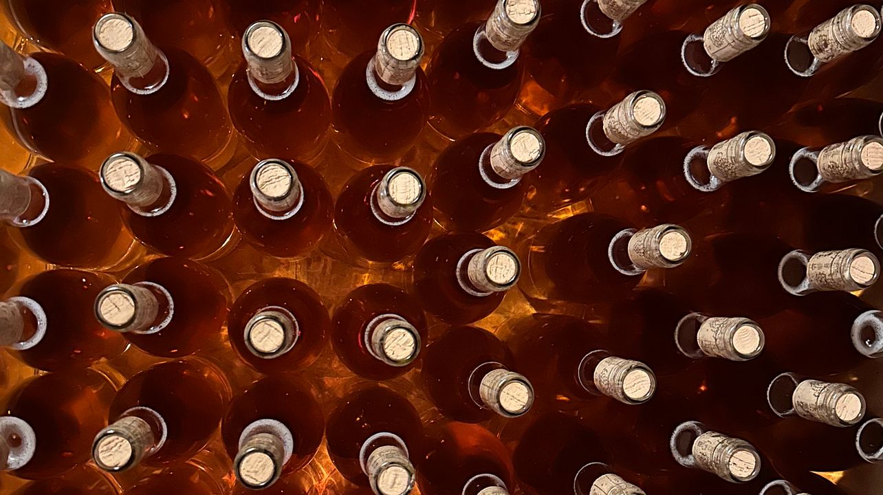 Degustazione di vini con pranzo